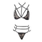 Chubby Sexy Lingerie Bra Set Sex Sexy Harness Lingerie Sexy Bra Panties