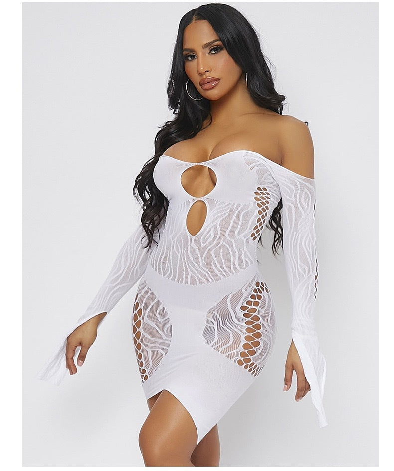 Extreme Sexy Dresses Women  Sheer Mesh Lingerie sheer