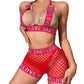 Women  Naughty Lingerie Set Nasty Plus Size Mesh Lingerie Revealing Bra Panties