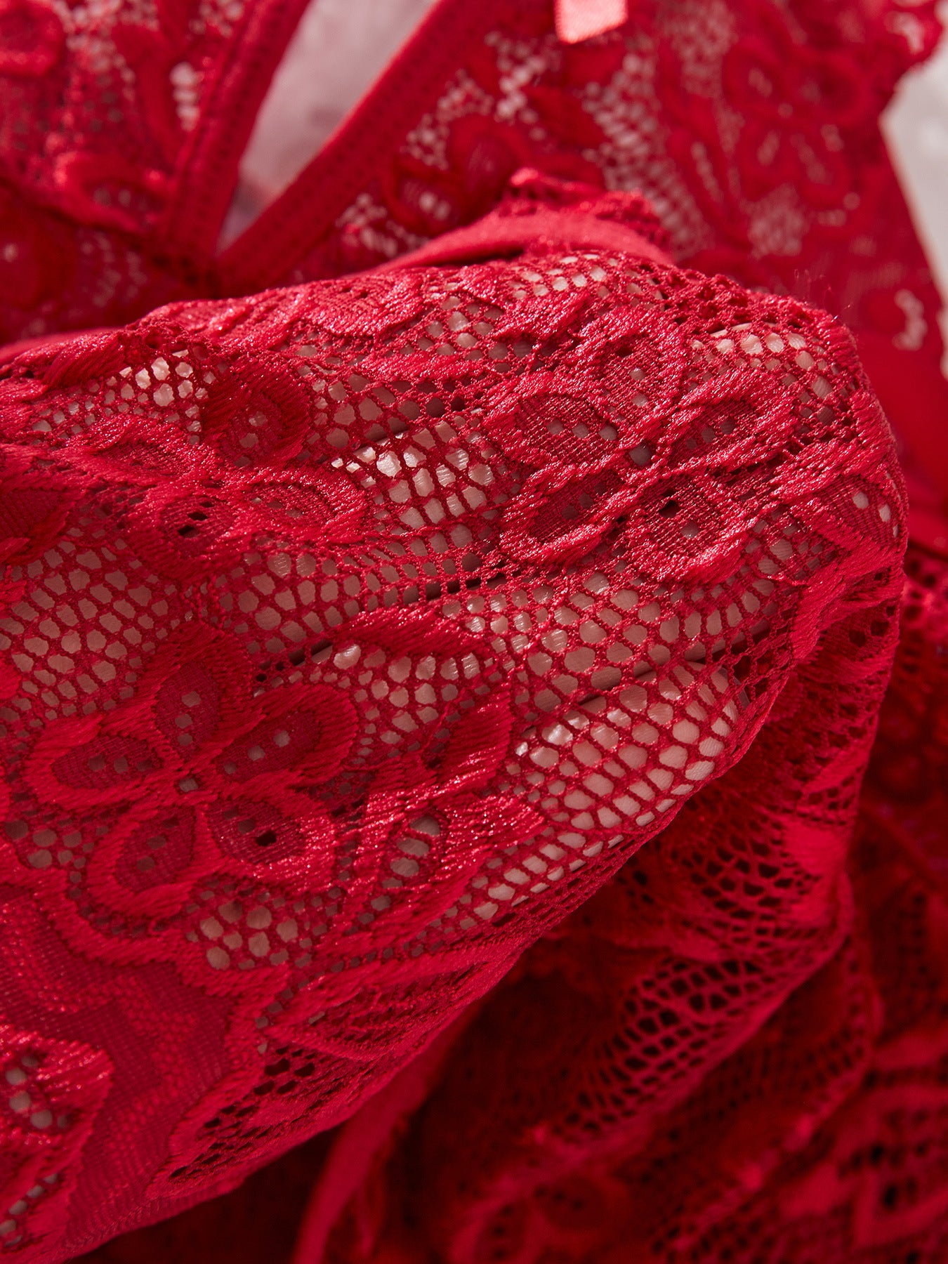 Plus Size Lingerie Sheer