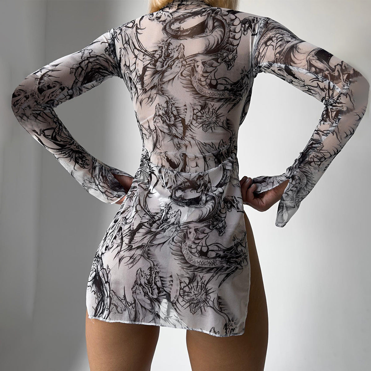 Women's Erotic Clothing Sheer