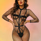 Women  Womens Black Bodysuit Nasty Mesh Sheer Lingerie Revealing Teddy