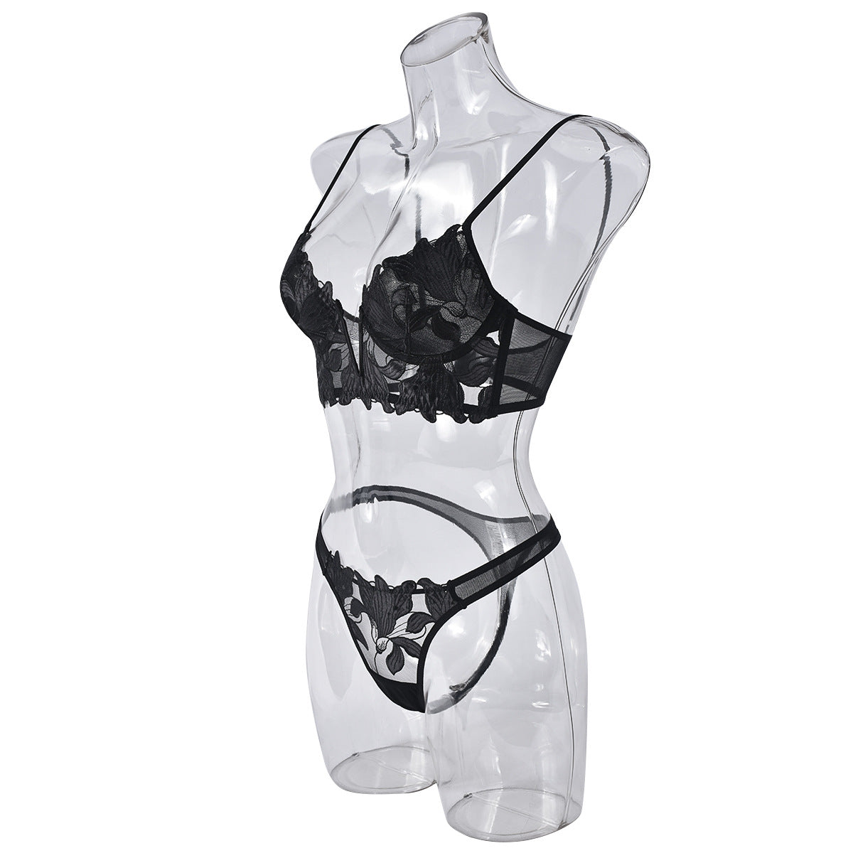 Black Deep V Lingerie Sheer