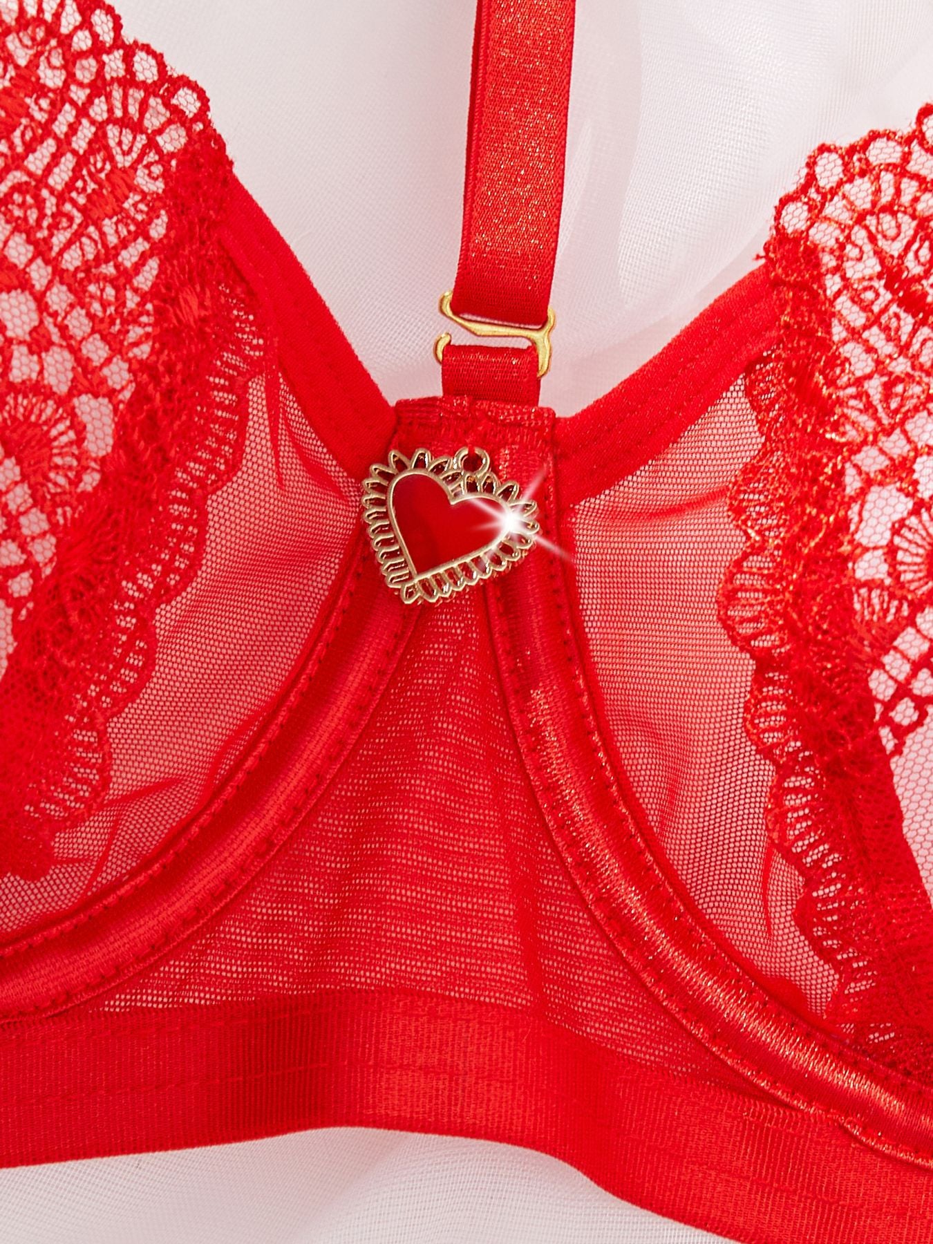 Sheer Sexy Tiny Lingerie