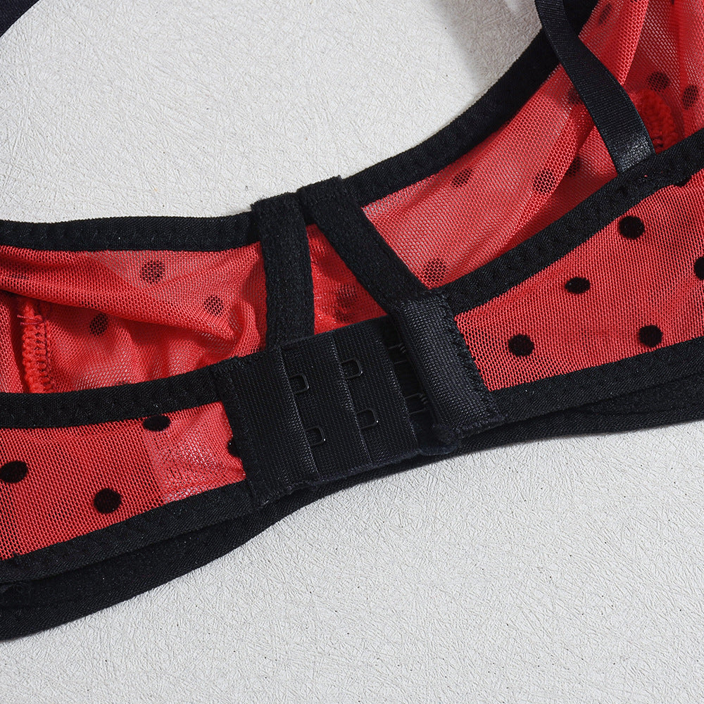 Sheer Womens Lingerie