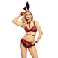 Hot Sexy Halloween Bunny Costume Playboy Lingerie Anime Set Slutty