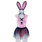 Women  Sheer Dress Revealing Bunny Sexy Costume Lingerie Cosplay