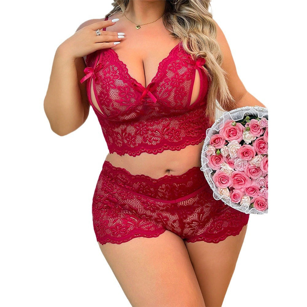 Plus Size Lingerie Sheer